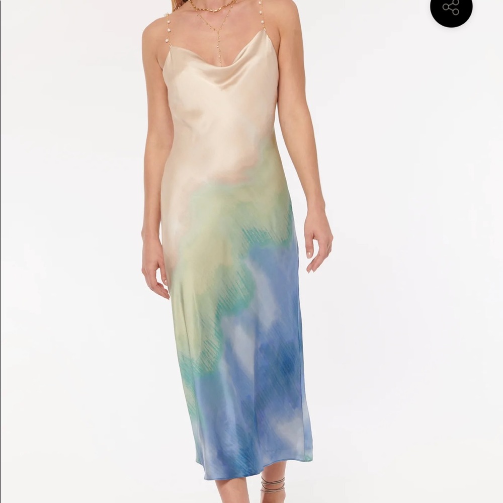 Cami NYC SHALLON DRESS MINERAL PIGMENTS NWT